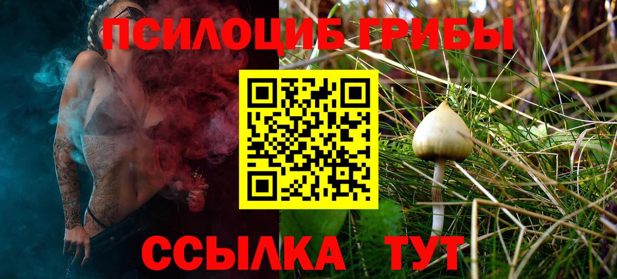Псилоцибиновые грибы Psilocybe  Псилоцибиновые грибы Psilocybe  Верхняя Пышма 