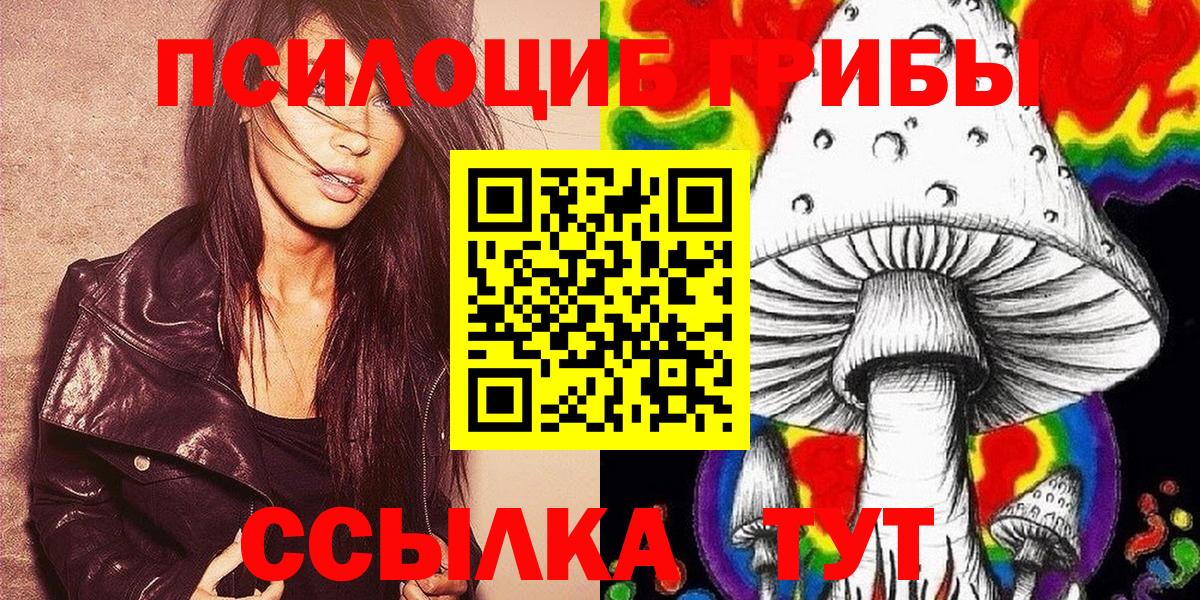 Псилоцибиновые грибы прущие грибы Верхняя Пышма
