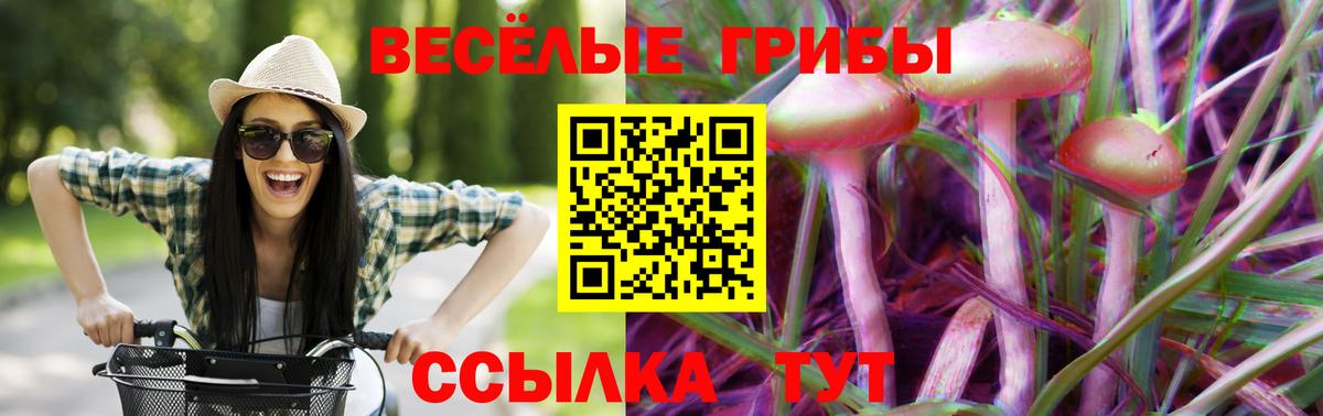 Галлюциногенные грибы Cubensis  Вход с VPN  Верхняя Пышма 